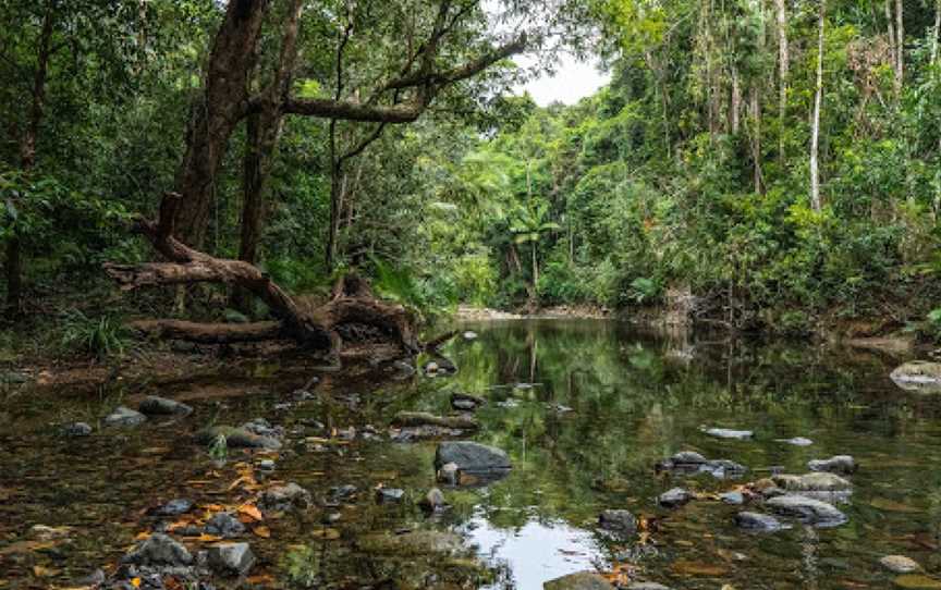 Emmagen Creek, Cape Tribulation, QLD