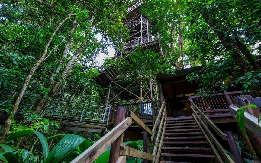 Daintree Discovery Centre, Cow Bay, QLD