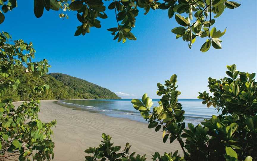 Cape Tribulation, Daintree National Park, Daintree, QLD