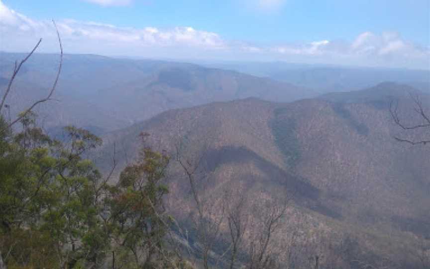 Carrai National Park, Carrai, NSW