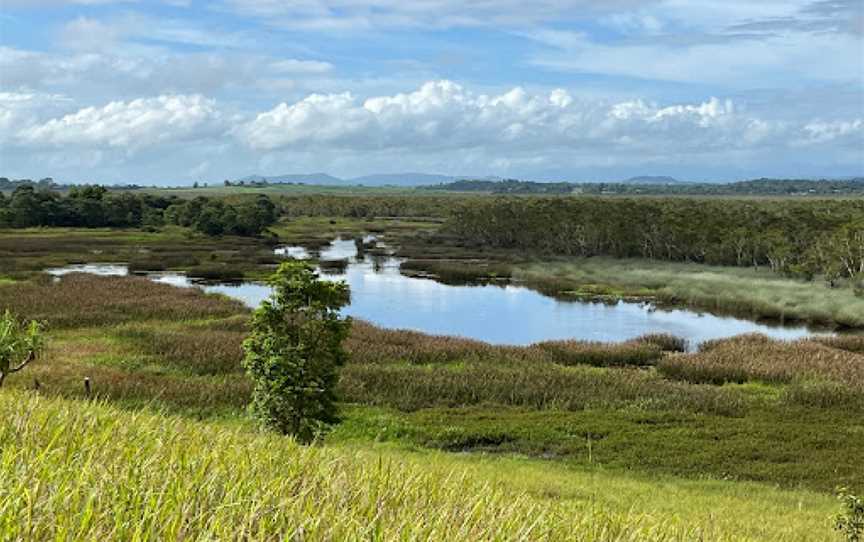 Eubenangee Swamp National Park, Babinda, QLD