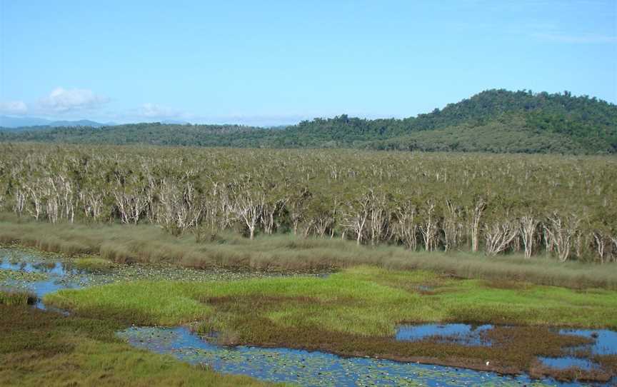 Eubenangee Swamp National Park, Babinda, QLD