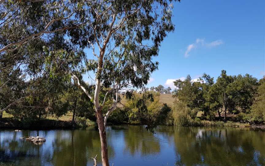 Blue Hole picnic area, Castle Doyle, NSW