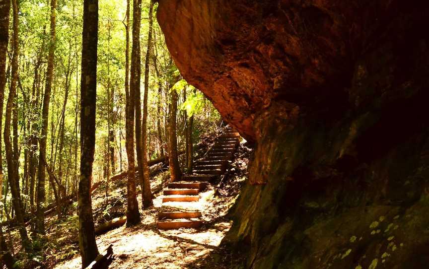 Cave Creek Walking Track - CURRENTLY CLOSED, Hill Top, NSW