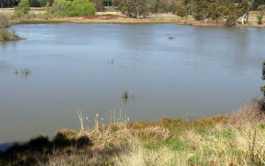 Cecil Hoskins Nature Reserve, Burradoo, NSW