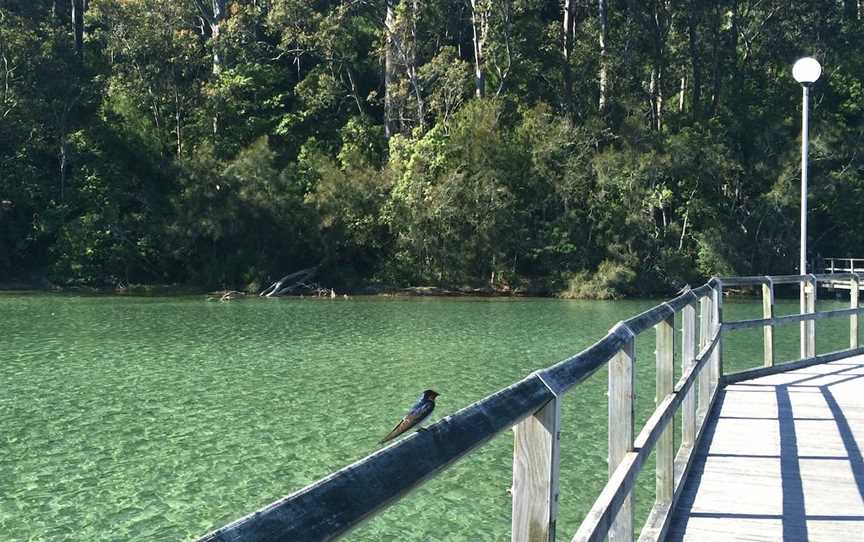 Mill Bay Boardwalk Narooma, North Narooma, NSW