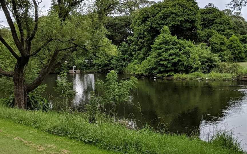 One More Shot Pond, Centennial Park, NSW