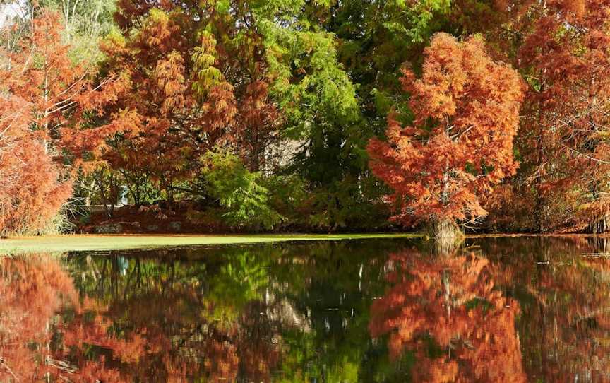 Penshurst Botanic Gardens, Penshurst, VIC