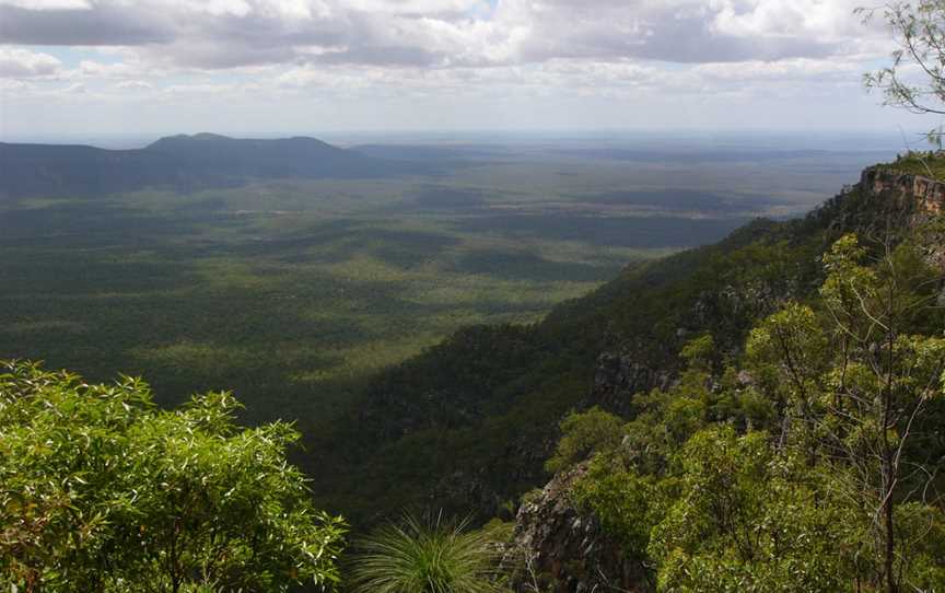 Blackdown Tableland National Park, Dingo, QLD