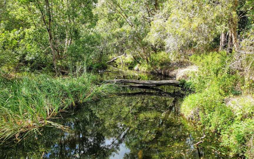 Redlands Track Park, Cleveland, QLD