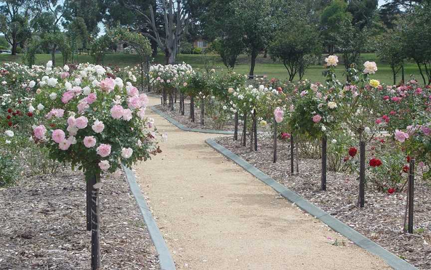 Victoria Park Rose Garden, Goulburn, NSW