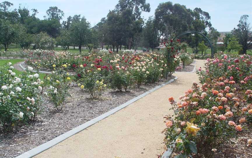 Victoria Park Rose Garden, Goulburn, NSW