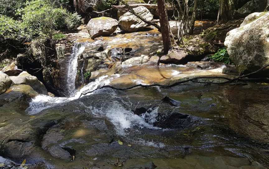 Clover Hill Trail, Macquarie Pass, NSW