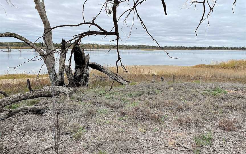 Hart Lagoon Walking Trail, Waikerie, SA