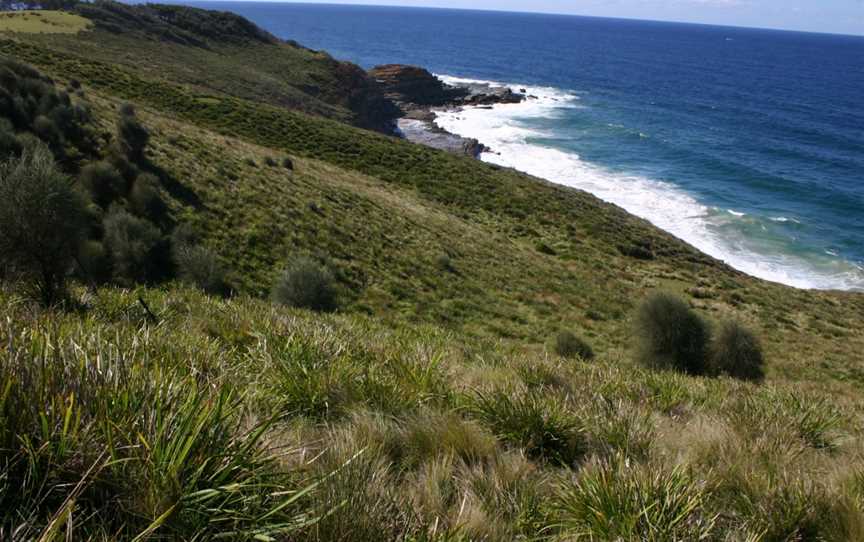 Wedding Cake Rock, Royal National Park, NSW