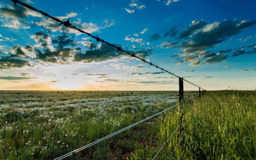 Hay Sunset Viewing Area, Hay, NSW