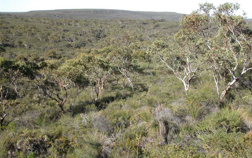 Lesueur National Park, Jurien Bay, WA