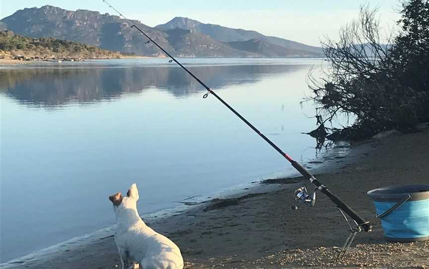 Moulting Lagoon, Coles Bay, TAS