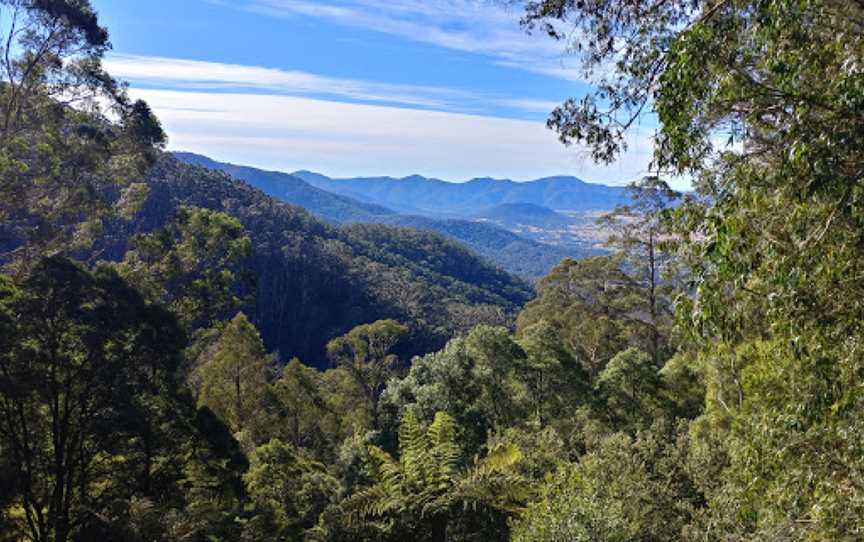 South East Forest National Park, Coolangubra, NSW