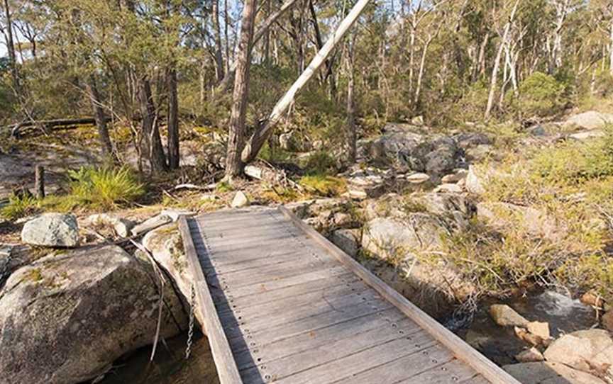 Myanba Gorge lookout, Coolangubra, NSW