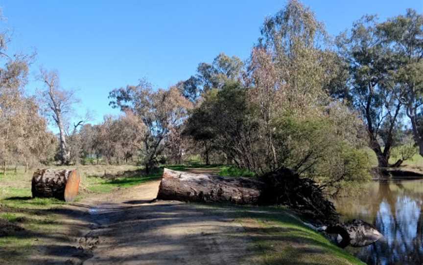 Tumut Wetlands, Tumut, NSW