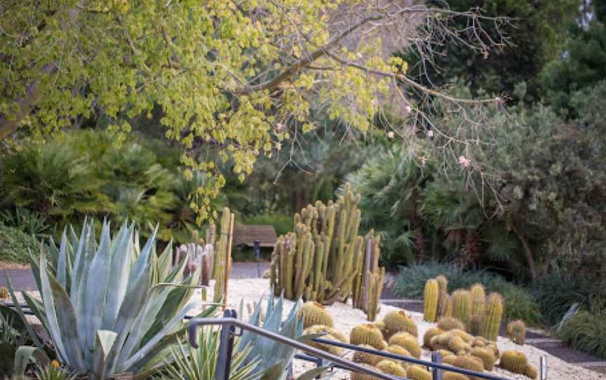 Geelong Botanic Gardens, East Geelong, VIC