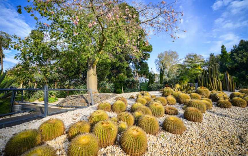 Geelong Botanic Gardens, East Geelong, VIC