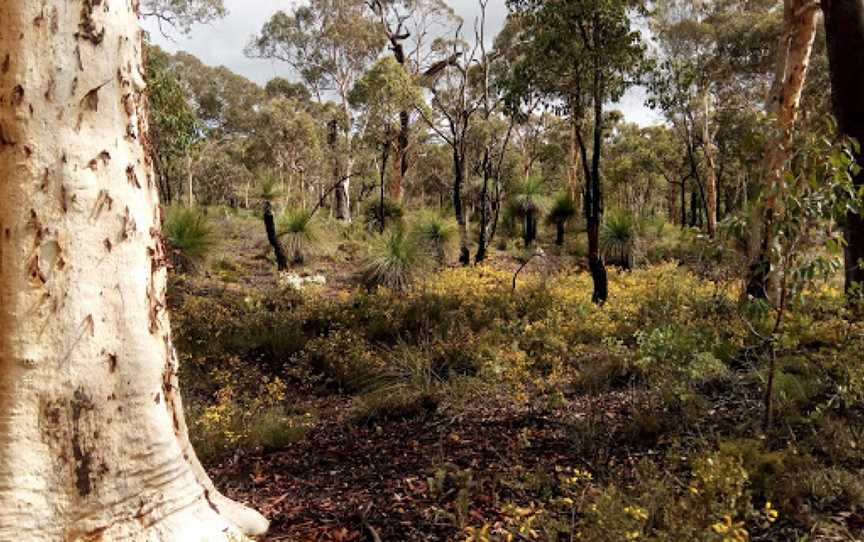 Dawn Atwell Nature Reserve, Toodyay, WA