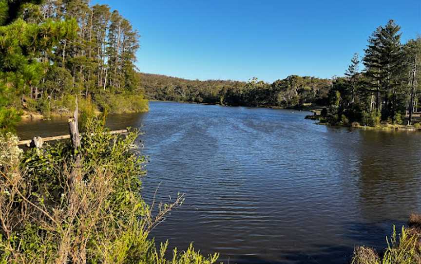 Koala Park (Creswick Regional Park), Creswick, VIC