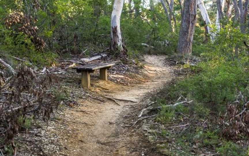 Koala Park (Creswick Regional Park), Creswick, VIC