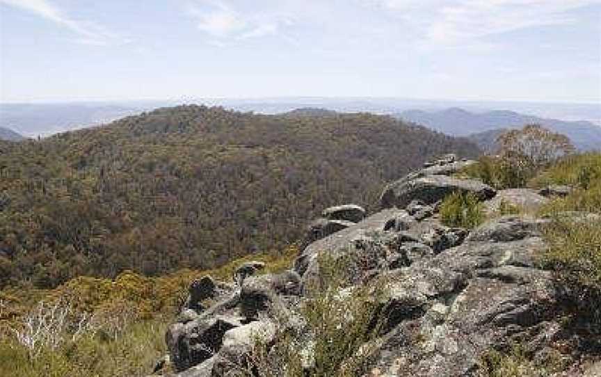 Burrowa-Pine Mountain National Park, Tintaldra, VIC