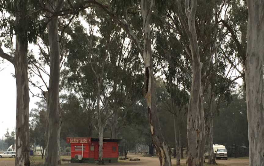 Lions Park - Nanango, Nanango, QLD