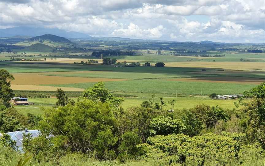 Hallorans Hill Conservation Park, Atherton, QLD