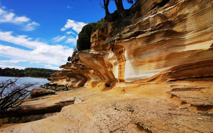 Maria Island National Park, Maria Island, TAS