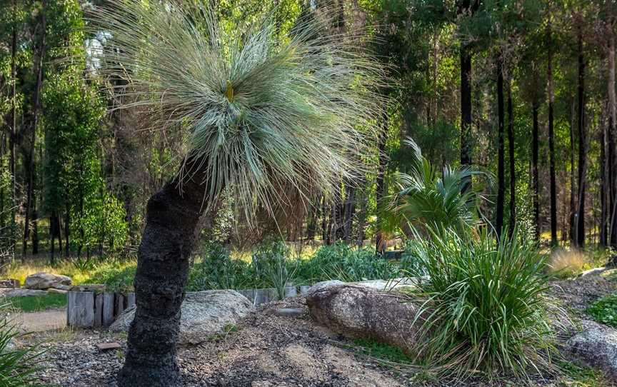 Eurobodalla Regional Botanic Garden, Mogo, NSW