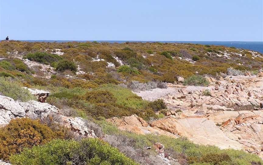 Wittelbee Conservation Park, Ceduna, SA