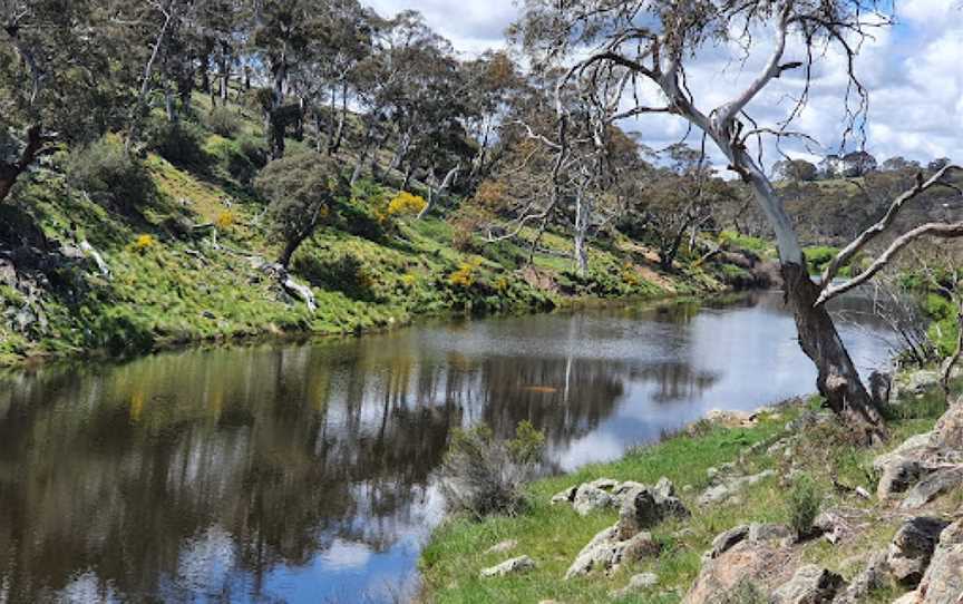 Bombala Platypus Reserve, Bombala, NSW