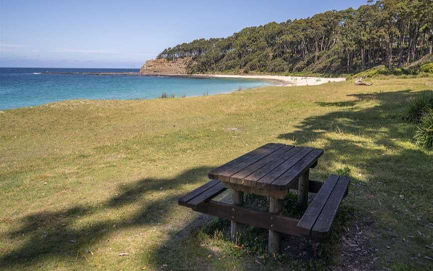 Depot Beach picnic area, Depot Beach, NSW