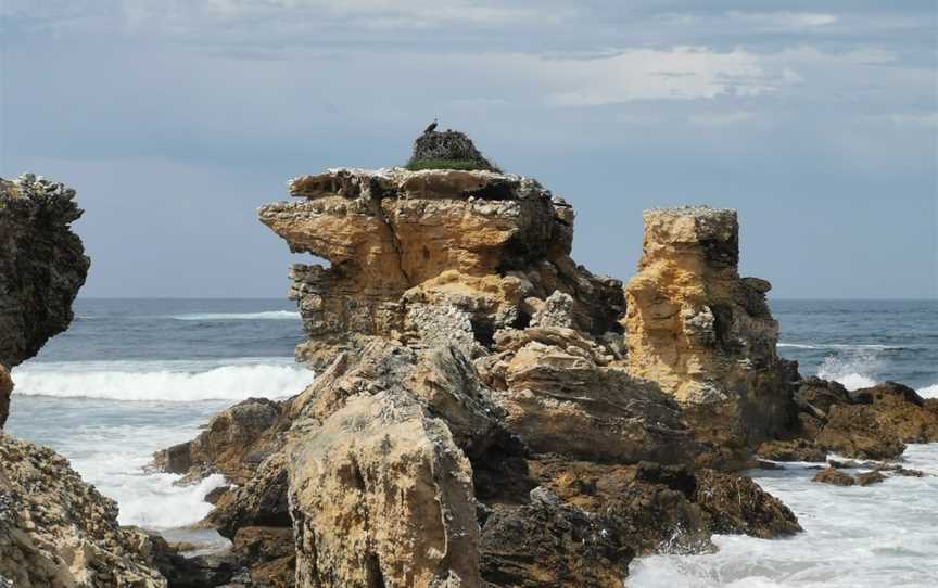 Tadpole Cove Walk - Cape Gantheaume Conservation Park, D'Estrees Bay, SA