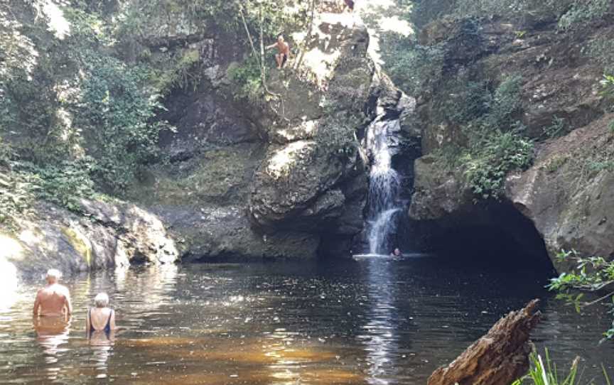 Tapin Tops National Park, Dingo Forest, NSW