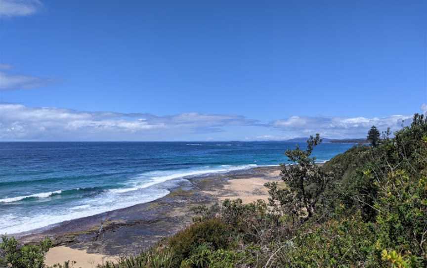 South Pacific Heathland Reserve, Ulladulla, NSW