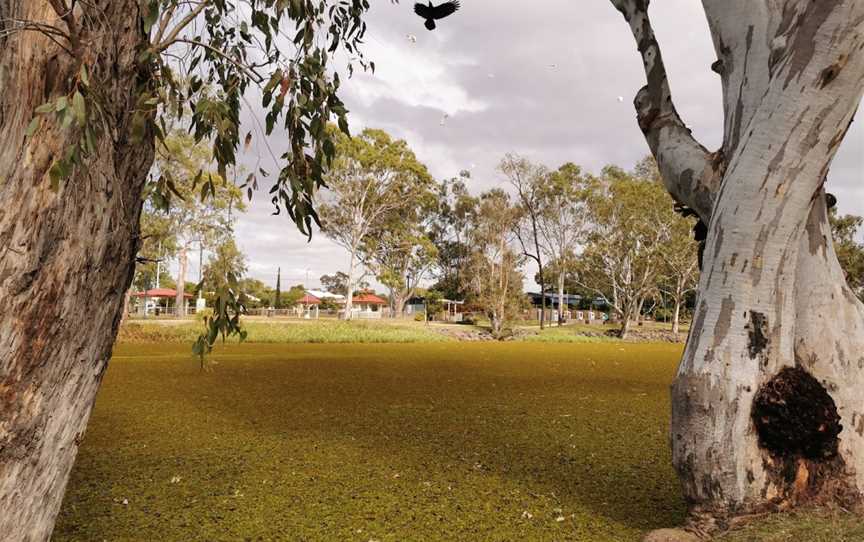 Hoods Lagoon, Clermont, QLD