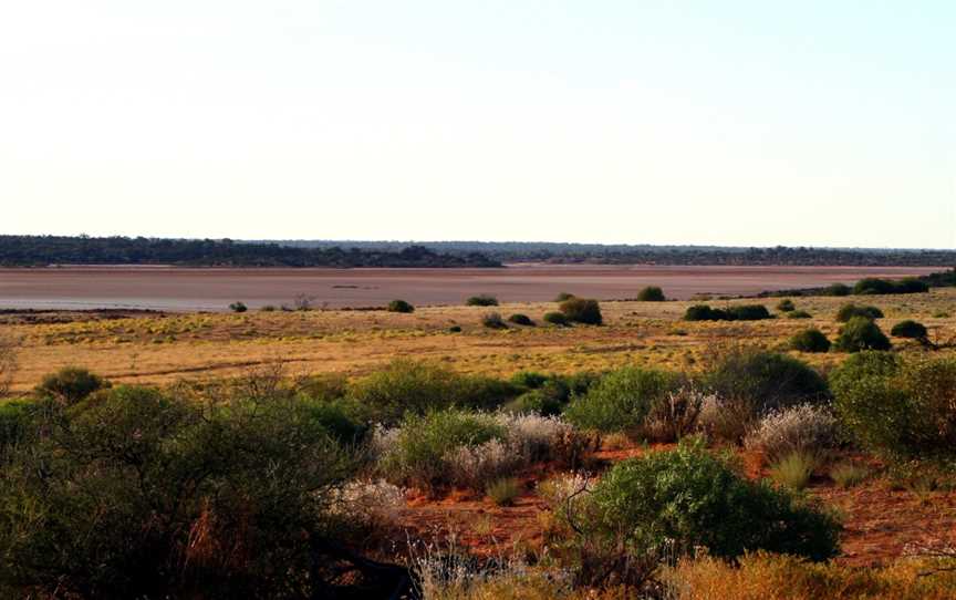 Mamungari Conservation Park, Ceduna, SA