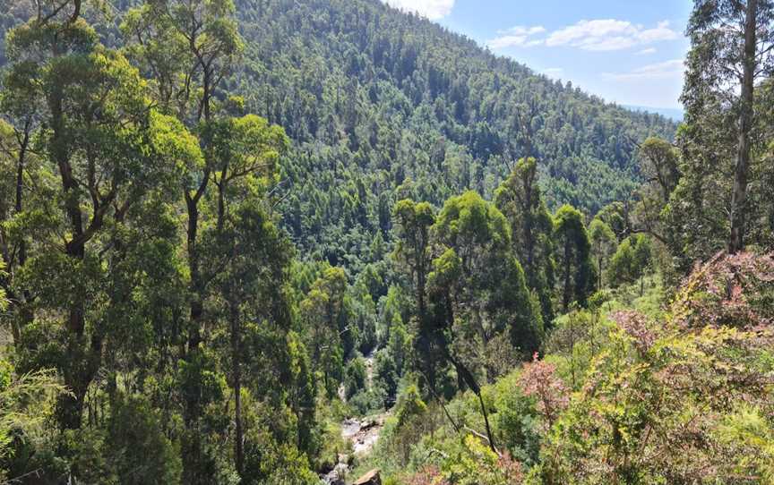 Steavenson Falls, Marysville, VIC