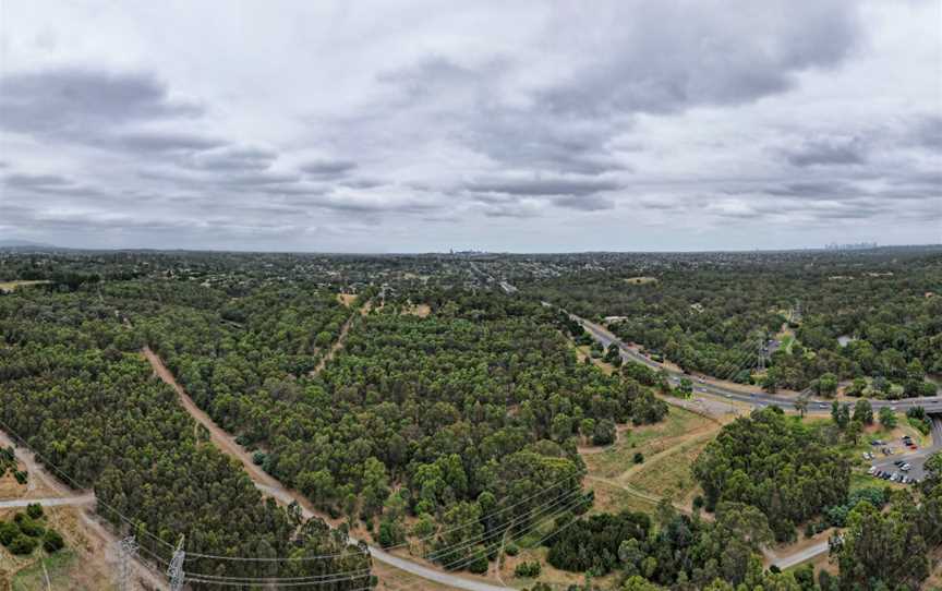 Westerfolds Park, Templestowe, VIC