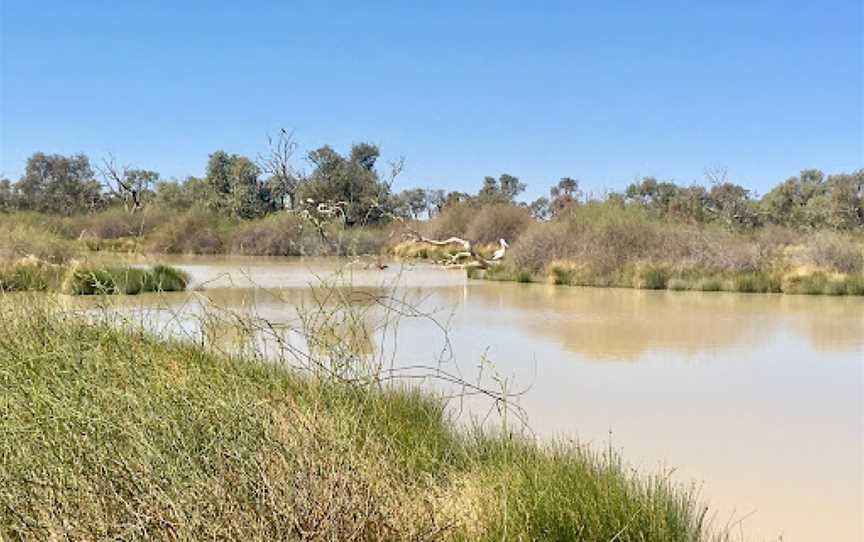 Birdsville Billabong, Birdsville, QLD