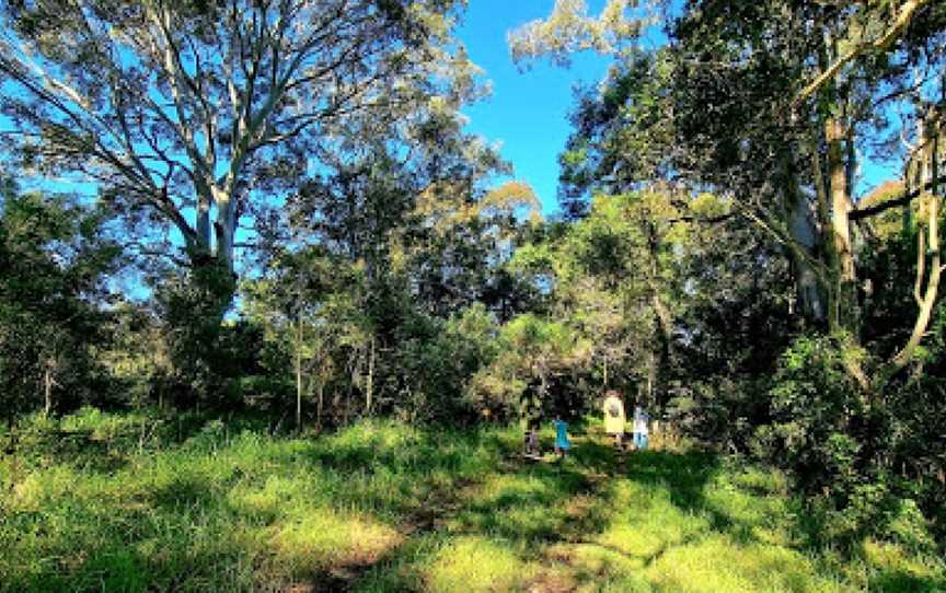 Ringlands Rotary Walk Narooma, Narooma, NSW