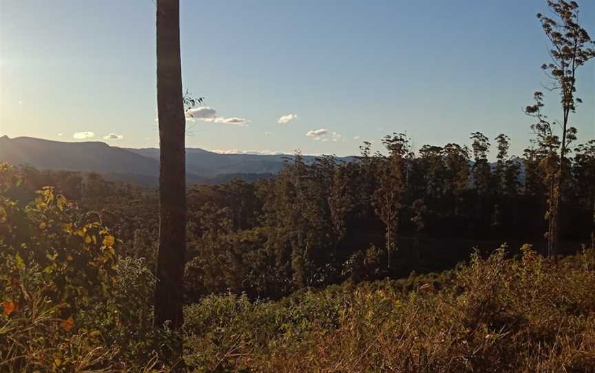 Coopernook Forest HQ, Moorland, NSW