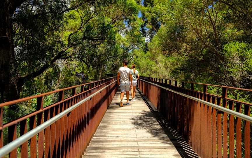 Lotterywest Federation Walkway - Kings Park, West Perth, WA