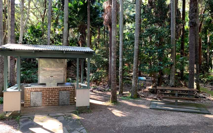 Palms picnic area, Frazer Park, NSW